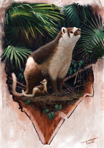 Ancient mammals lived fast and died young